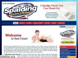 Sites similar to spaldingcarpetcleaner.com