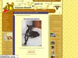 Sites similar to spanienhunde-nothilfe.de