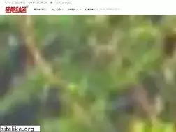 Sites similar to spareage.in