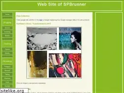Sites similar to spbrunner.com