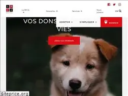 Sites similar to spca.com