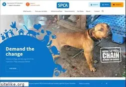 Sites similar to spca.org.nz