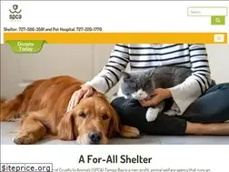Sites similar to spcatampabay.org