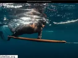 Sites similar to speargun.com