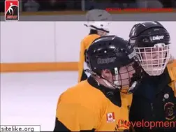 Sites similar to specialhockeyinternational.org