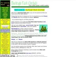 Sites similar to speciesorchids.com