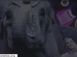 Sites similar to spectacularcircus.com