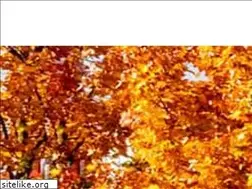 Sites similar to spedition-zurek.de