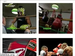 Sites similar to sphinxgear.com