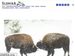 Sites similar to sphotography.com