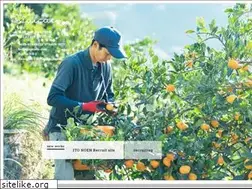 Sites similar to spicato.com