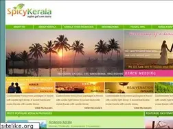Sites similar to spicykerala.com