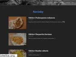 Sites similar to spider-zlin.cz