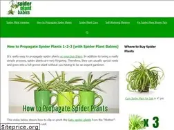 Sites similar to spiderplantbabies.com