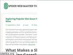 Sites similar to spiderwebmastertools.com
