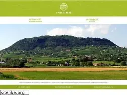 Sites similar to spiegelberg.hu