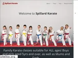 Sites similar to spillardkarate.com