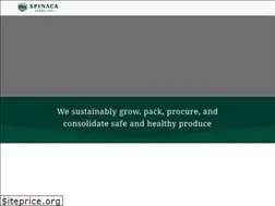 Sites similar to spinacafarms.com