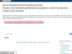 Sites similar to spinachwonders.blogspot.com