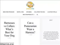 Sites similar to spinningpom.com