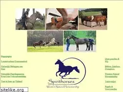Sites similar to spirithorses.be