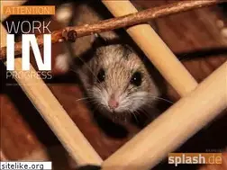 Sites similar to splash.de