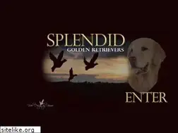 Sites similar to splendidgoldens.com
