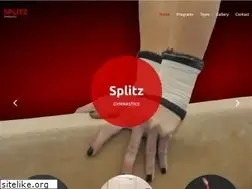 Sites similar to splitz.com