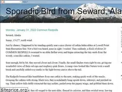 Sites similar to sporadicbird.blogspot.com