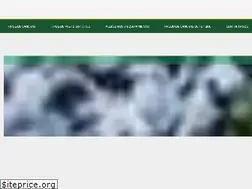 Sites similar to sportmaster.mx