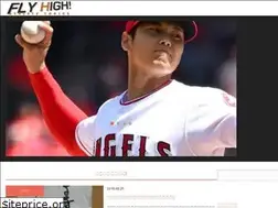 Sites similar to sportsflyhigh.com