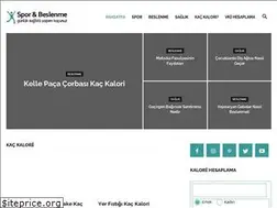 Sites similar to sporvebeslenme.com