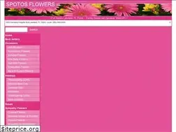 Sites similar to spotosflowers.com