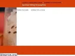 Sites similar to spottedwing.org