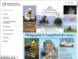 Sites similar to sppq.com