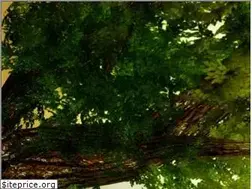 Sites similar to spreewald.online