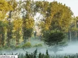 Sites similar to spreewaldcamping.de