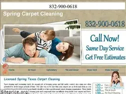 Sites similar to spring-carpet-cleaning.com