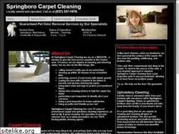 Sites similar to springborocarpetcleaning.com
