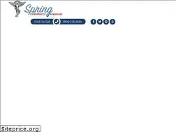 Sites similar to springchiro.com