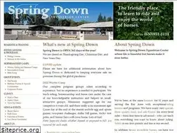 Sites similar to springdown.com