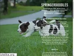 Sites similar to springerdoodles.com