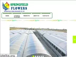 Sites similar to springfield.com.tr