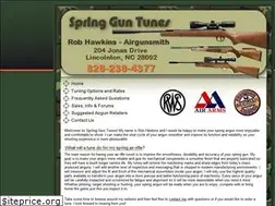 Sites similar to springguntunes.com