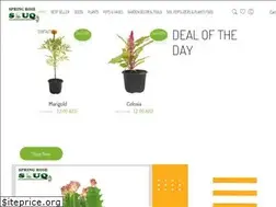 Sites similar to springrosesouq.com