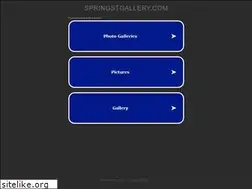 Sites similar to springstgallery.com