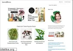 Sites similar to sproutsandstems.com