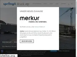 Sites similar to spruenglidruck.ch