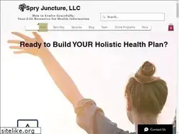 Sites similar to spryjuncture.com