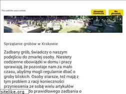 Sites similar to sprzataniegrobow.krakow.pl